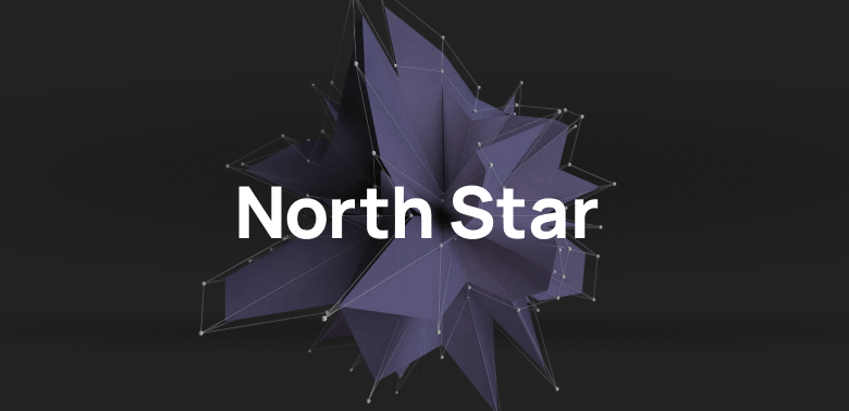 Метрика Полярной звезды или North Star Metric: что это за показатель и для чего он нужен